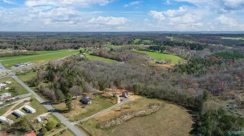 185 Andrew Lee Dr, Henagar, AL 35978 photo 37