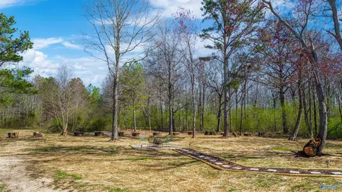 185 Andrew Lee Dr, Henagar, AL 35978 photo 33