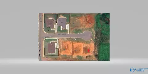 106 Thrasher Cir, Madison, AL 35756