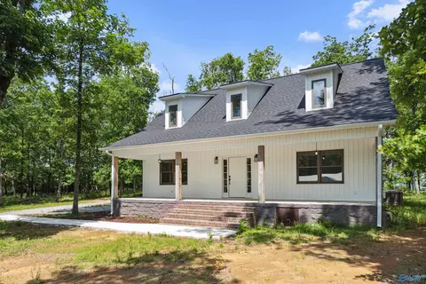 191 Scenic Dr, Section, AL 35771 photo 21