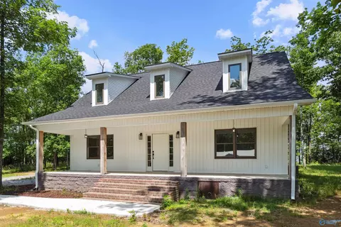 191 Scenic Dr, Section, AL 35771 photo 39