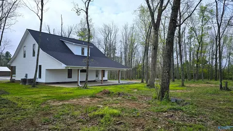 191 Scenic Dr, Section, AL 35771 photo 12
