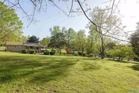 1011 Joan Ln, Killen, AL 35645 photo 23