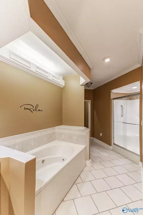 367 Forest Home Dr, Trinity, AL 35673 photo 22