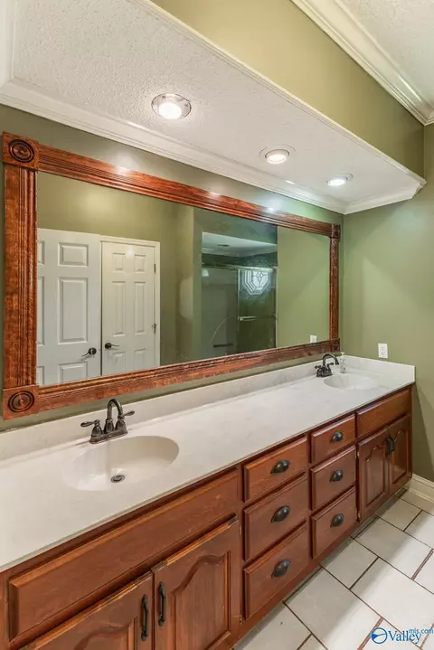 367 Forest Home Dr, Trinity, AL 35673 photo 15
