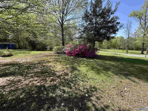 4730 Forrest St, Cedar Bluff, AL 35959 photo 5
