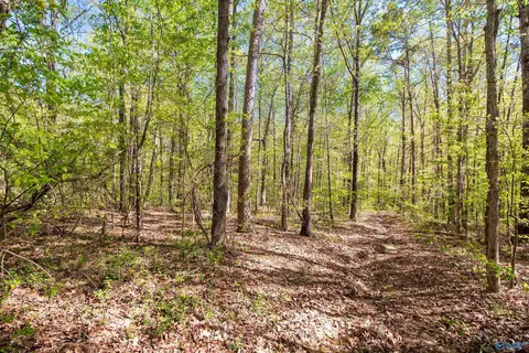 lot28 County Road 279, Moulton, AL 35650
