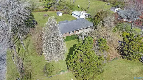 385 Mobbs School Rd, Arab, AL 35016 photo 24