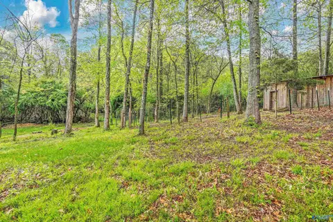 15141 Wright Rd, Athens, AL 35611 photo 31
