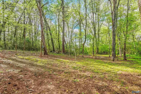 15141 Wright Rd, Athens, AL 35611 photo 30