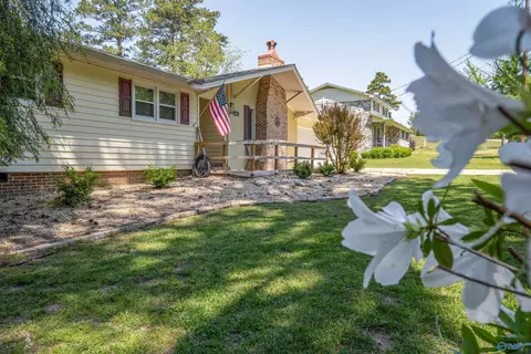 404 Willowbrook Ave, Glencoe, AL 35905 photo 15