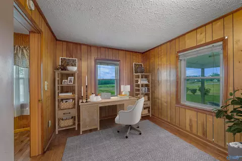 586 E County Road 152, Section, AL 35771 photo 29