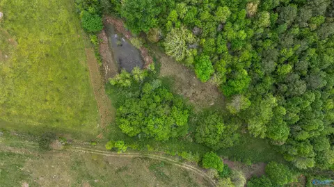 586 E County Road 152, Section, AL 35771 photo 16