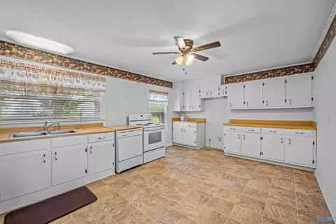 586 E County Road 152, Section, AL 35771 photo 31