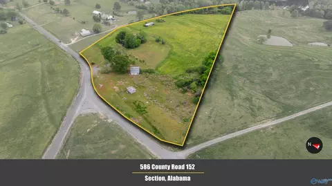 586 E County Road 152, Section, AL 35771 photo 36