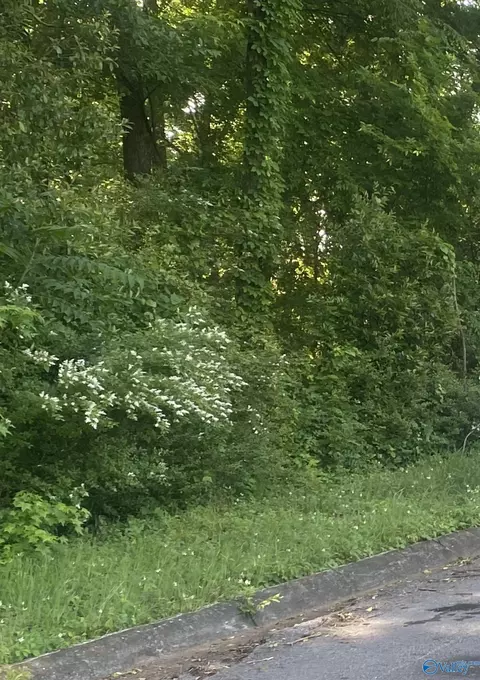 lot10 11 Blair St, Florence, AL 35630