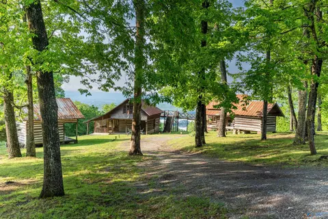 Exterior - 244 County Road 224, Dutton, AL 35744 photo 11 of 11