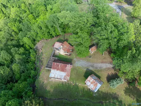 Exterior - 244 County Road 224, Dutton, AL 35744 photo 10 of 11
