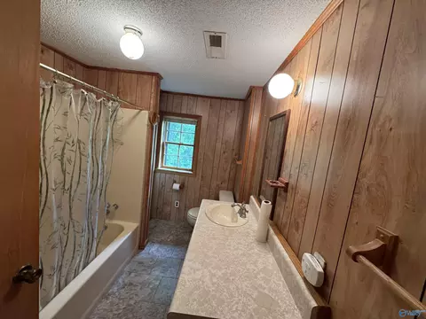 214 Eagle Rock Dr, Arab, AL 35016 photo 39