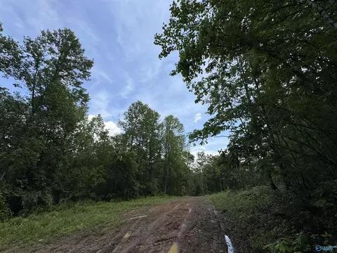 214 Eagle Rock Dr, Arab, AL 35016 photo 12