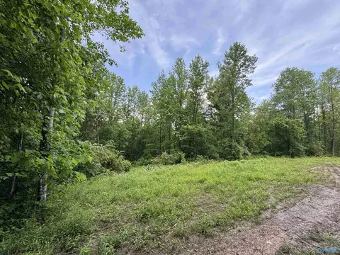 214 Eagle Rock Dr, Arab, AL 35016 photo 14