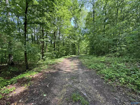 214 Eagle Rock Dr, Arab, AL 35016 photo 15