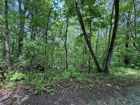 214 Eagle Rock Dr, Arab, AL 35016 photo 11