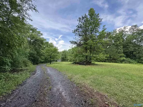 214 Eagle Rock Dr, Arab, AL 35016 photo 10