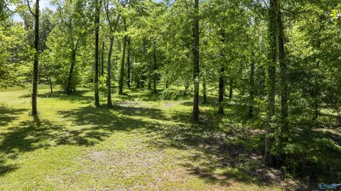 4030 Oak Dr, Cedar Bluff, AL 35959 photo 7