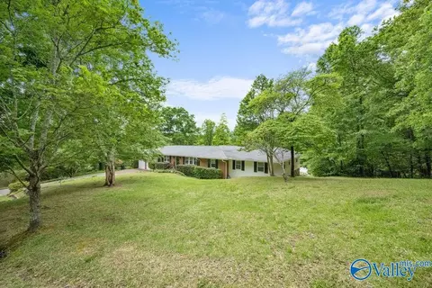 614 Davis Dr, Glencoe, AL 35905 photo 2
