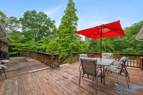 614 Davis Dr, Glencoe, AL 35905 photo 42