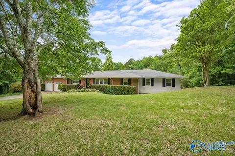 614 Davis Dr, Glencoe, AL 35905 photo 3