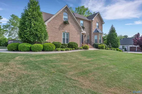 Exterior - 9176 Turtle Point Dr, Killen, AL 35645 photo 4 of 11