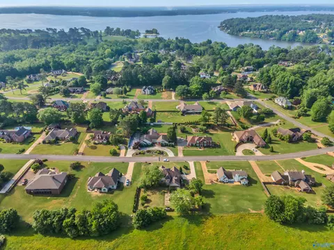 View/Area - 9176 Turtle Point Dr, Killen, AL 35645 photo 1 of 1