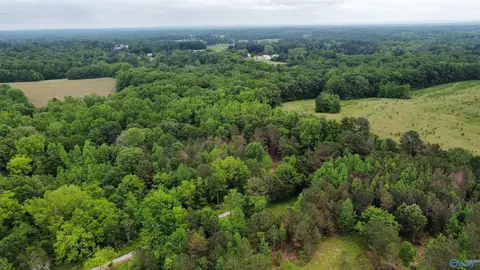 23898 County Road 460, Trinity, AL 35673 photo 13