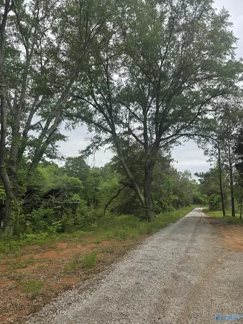 23898 County Road 460, Trinity, AL 35673 photo 2