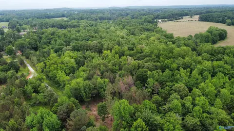 23898 County Road 460, Trinity, AL 35673 photo 10