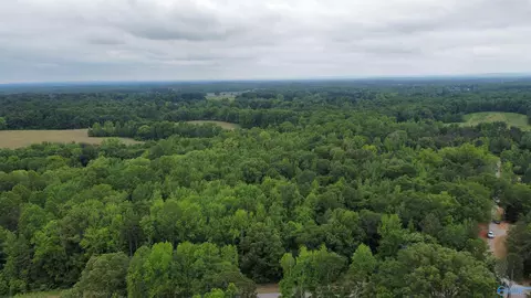 23898 County Road 460, Trinity, AL 35673 photo 6