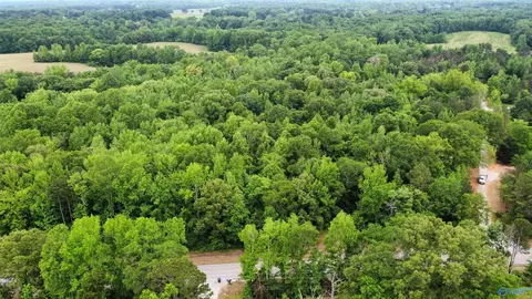 23898 County Road 460, Trinity, AL 35673 photo 11