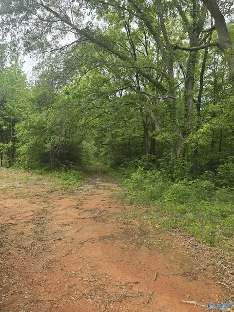 23898 County Road 460, Trinity, AL 35673 photo 4