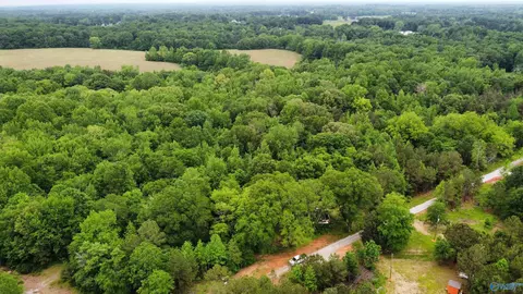 23898 County Road 460, Trinity, AL 35673 photo 7