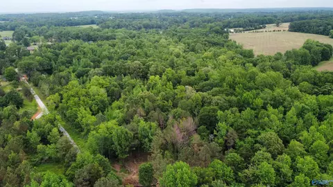 23898 County Road 460, Trinity, AL 35673 photo 8