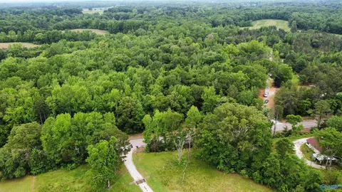 23898 County Road 460, Trinity, AL 35673 photo 1