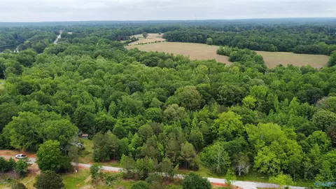 23898 County Road 460, Trinity, AL 35673 photo 9
