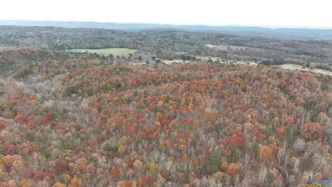 279 Ac Sligo Rd, Boaz, AL 35956