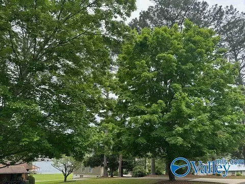885 Honeycomb Rd, Grant, AL 35747 photo 43