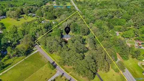 8601 County Road 214, Trinity, AL 35673 photo 49