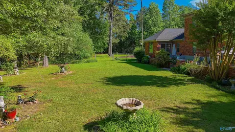 8601 County Road 214, Trinity, AL 35673 photo 48