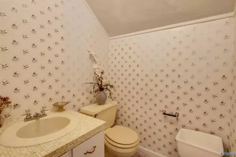 8601 County Road 214, Trinity, AL 35673 photo 43