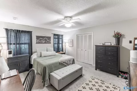 Bedroom - 43 Terry Ln, Trinity, AL 35673 photo 3 of 4